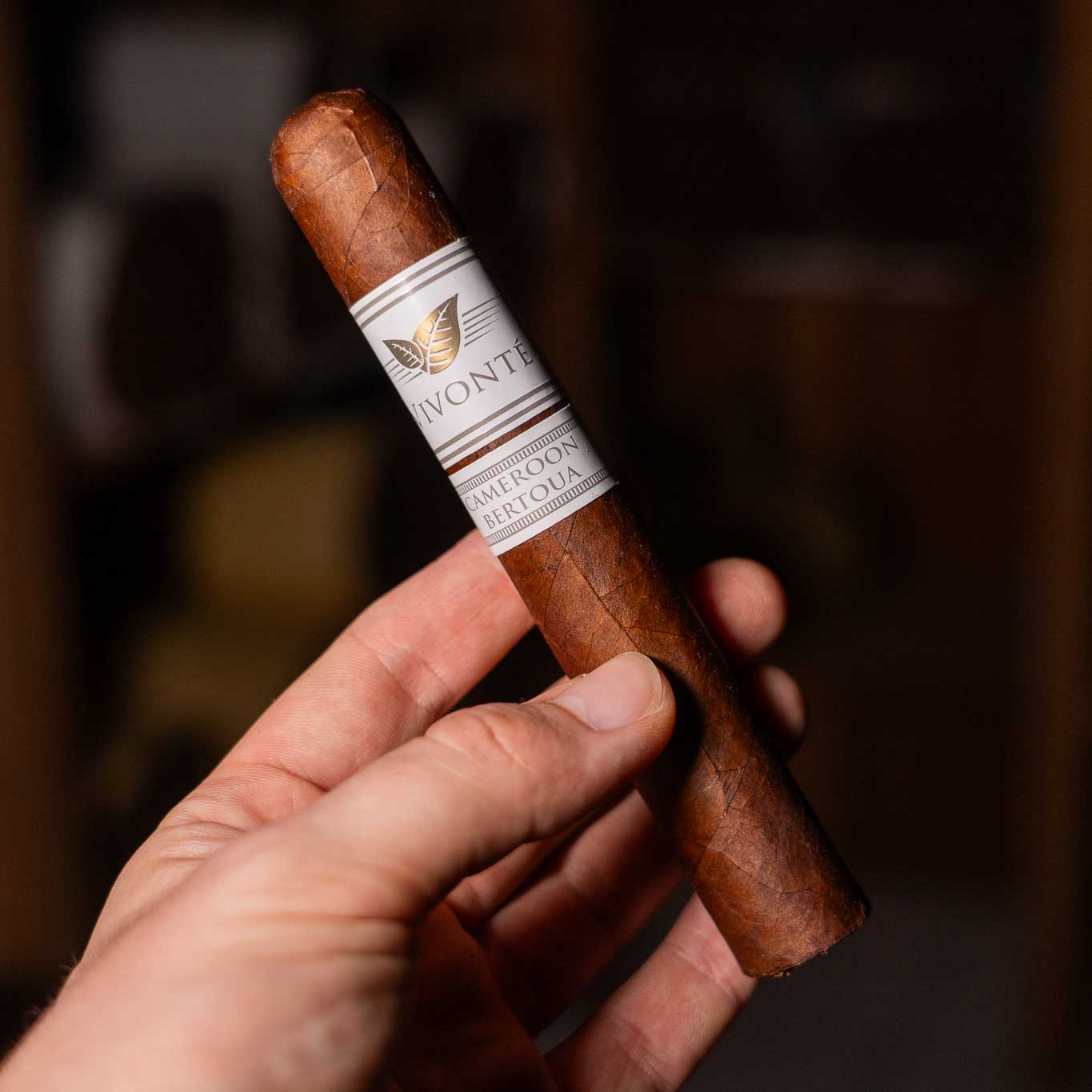 Cameroon Bertoua Gran Toro (56 x 6)