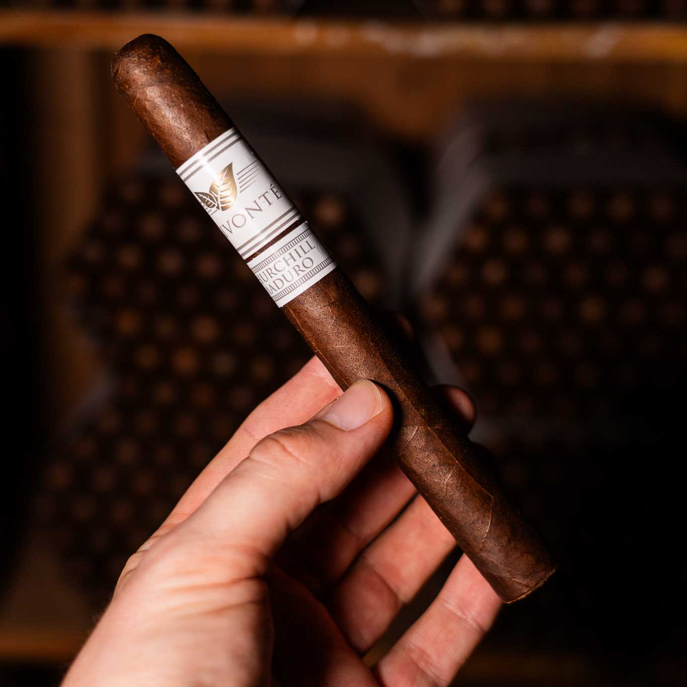 Signature Churchill 50x7