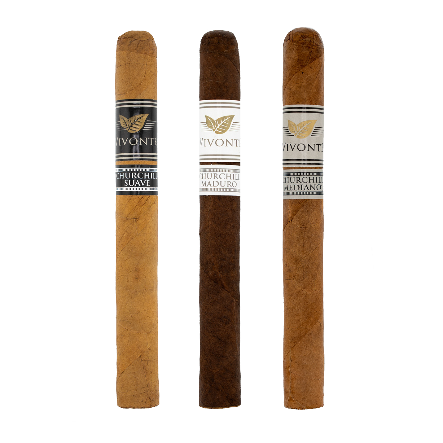 Signature Churchill 50x7