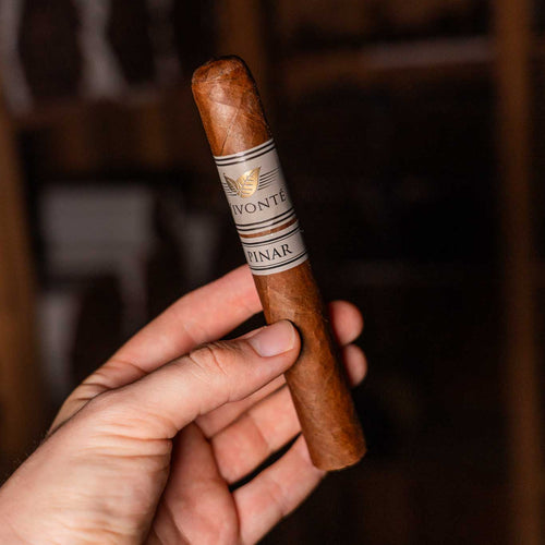 Pinar Gran Toro (56 x 6)